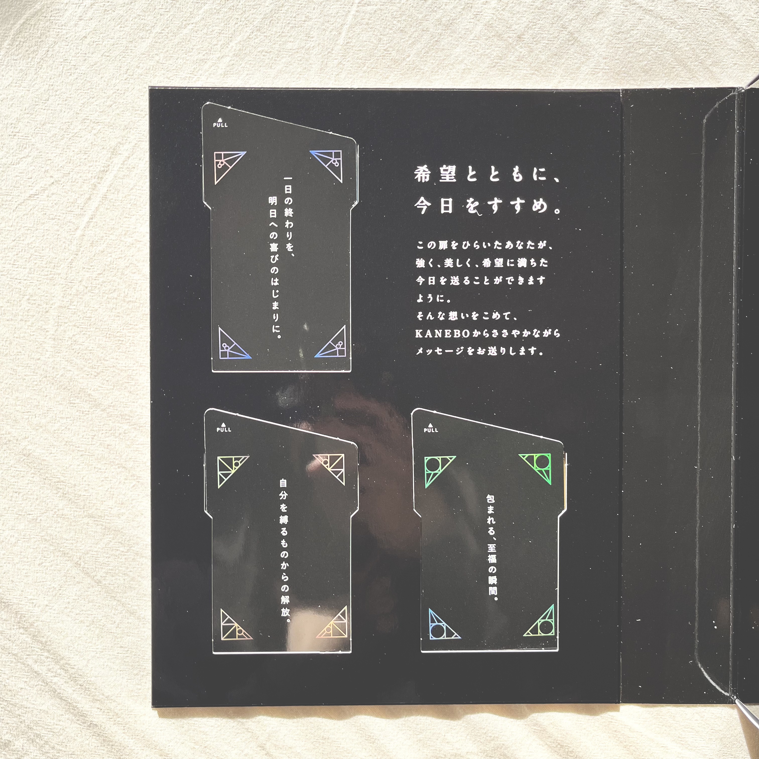 クリーム　イン　デイ/KANEBO/フェイスクリームを使ったクチコミ（2枚目）