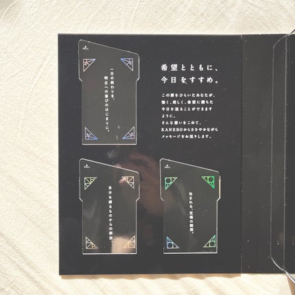 スクラビング マッド ウォッシュ/KANEBO/洗顔フォームを使ったクチコミ(2枚目)