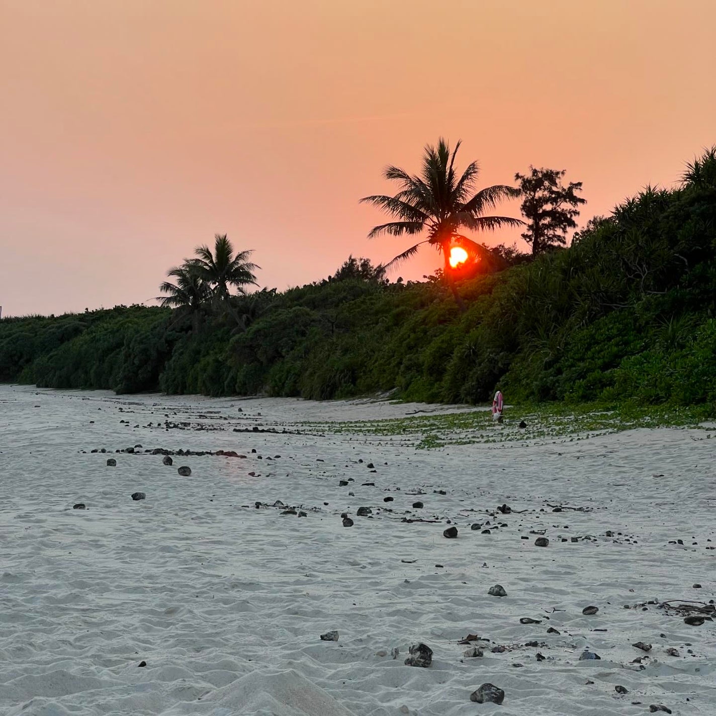 ニベアUV ディープ プロテクト&ケア トーンアップ エッセンス/ニベア/日焼け止めローションを使ったクチコミ(3枚目)