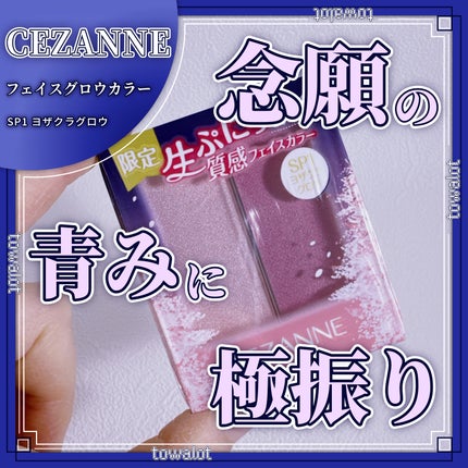フェイスグロウカラー/CEZANNE/クリームハイライトを使ったクチコミ(1枚目)
