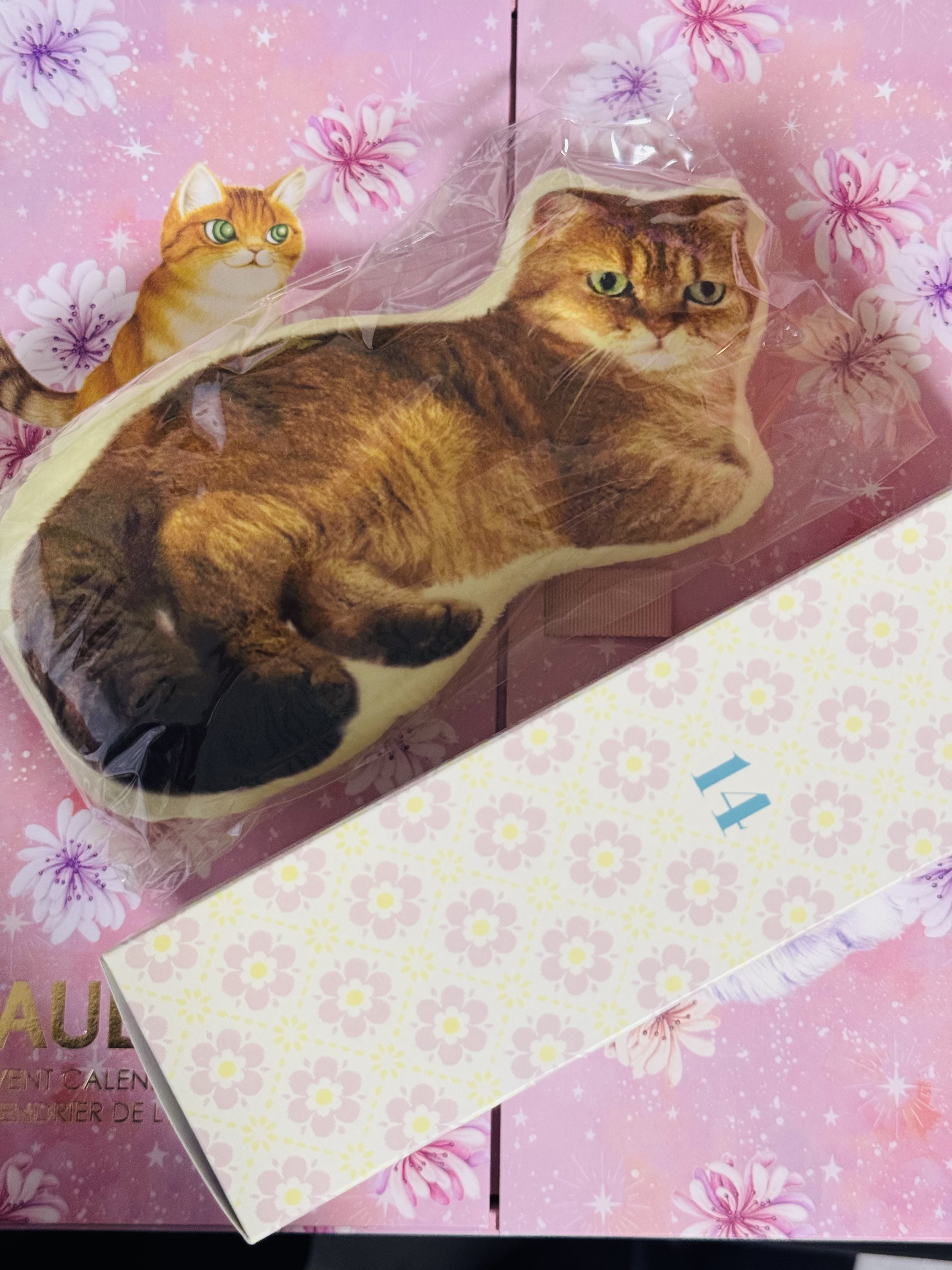 アドベント カレンダー 2024/PAUL & JOE BEAUTE/その他キットセットを使ったクチコミ（2枚目）