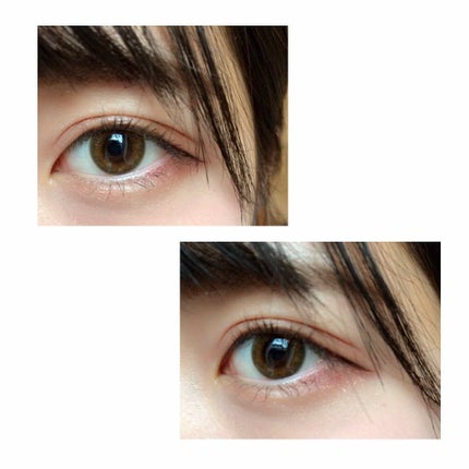 ReVIA 1day/ReVIA/ワンデー(1DAY)カラコンを使ったクチコミ(1枚目)