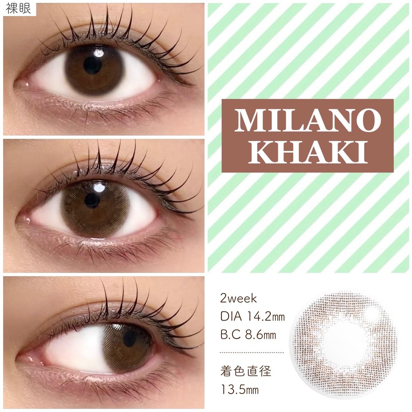 リッチスタンダード2WEEKシリーズ/RICH STANDARD/２週間（２WEEKS）カラコンを使ったクチコミ（2枚目）