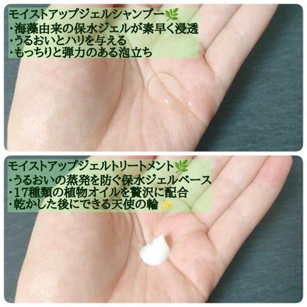 モイストアップ ジェル シャンプー/トリートメント/fuettarich (フエッタリッチ)/サロンシャンプーを使ったクチコミ(2枚目)