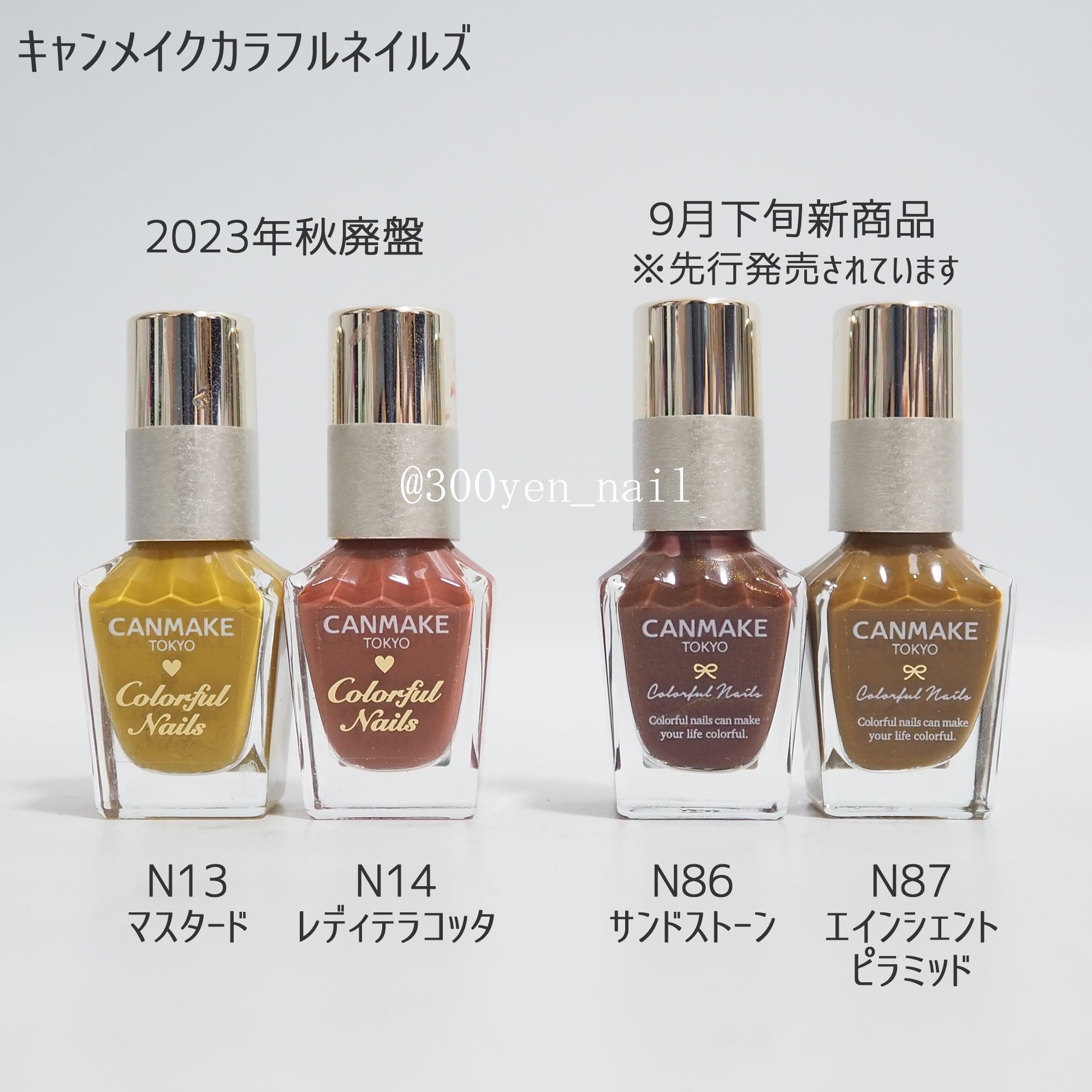 カラフルネイルズ｜キャンメイクの口コミ - キャンメイクネイルN13