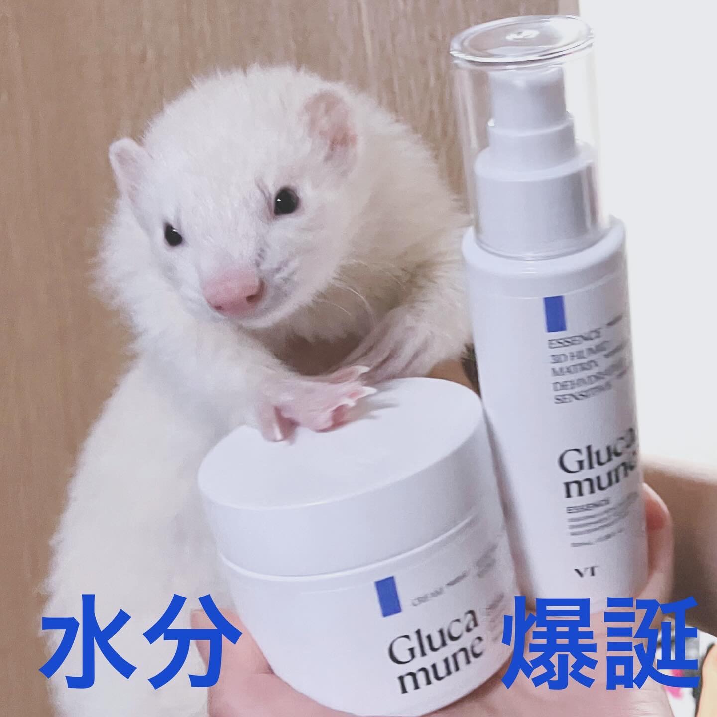 グルカミューンクリーム/VT/フェイスクリームを使ったクチコミ（1枚目）