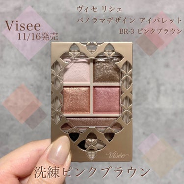 パノラマデザイン アイパレット/Visée/アイシャドウパレットを使ったクチコミ（1枚目）