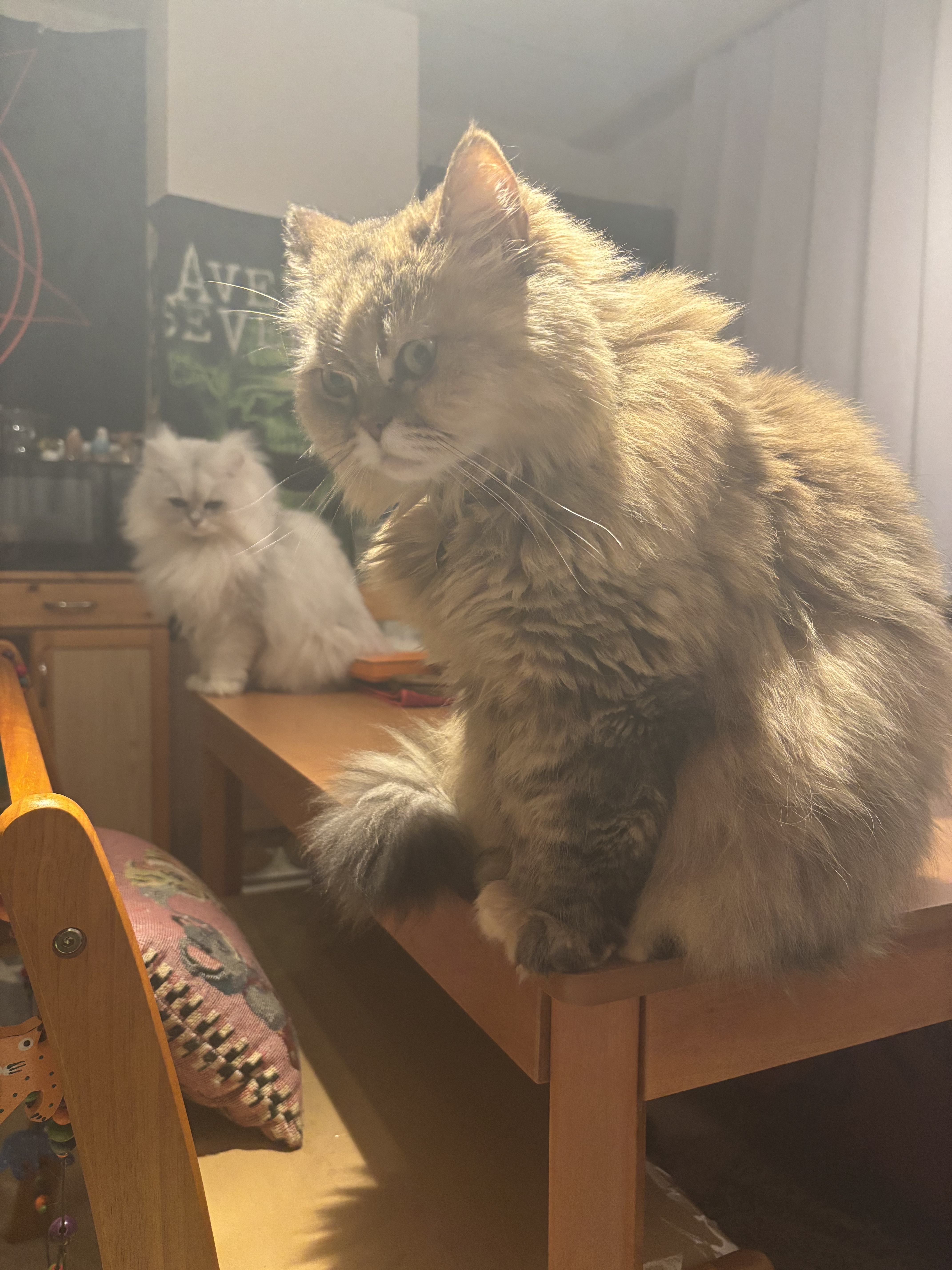 レーヴル サンティヤント/CHANEL/リップグロスを使ったクチコミ（2枚目）