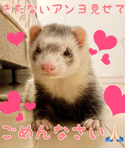 フットスプレー/8x4/レッグ・フットケアを使ったクチコミ(7枚目)