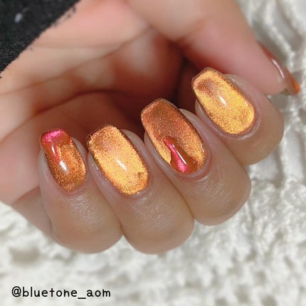 アニマルマグネットジェル/ネイル工房/ジェルネイルを使ったクチコミ(9枚目)