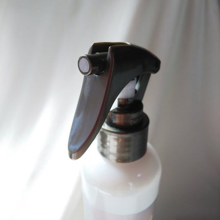 ハイドロミストN/plus eau/アウトバストリートメントを使ったクチコミ(2枚目)