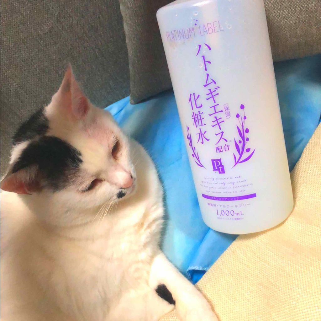 ハトムギ化粧水(ナチュリエ スキンコンディショナー R )/ナチュリエ/化粧水を使ったクチコミ(1枚目)