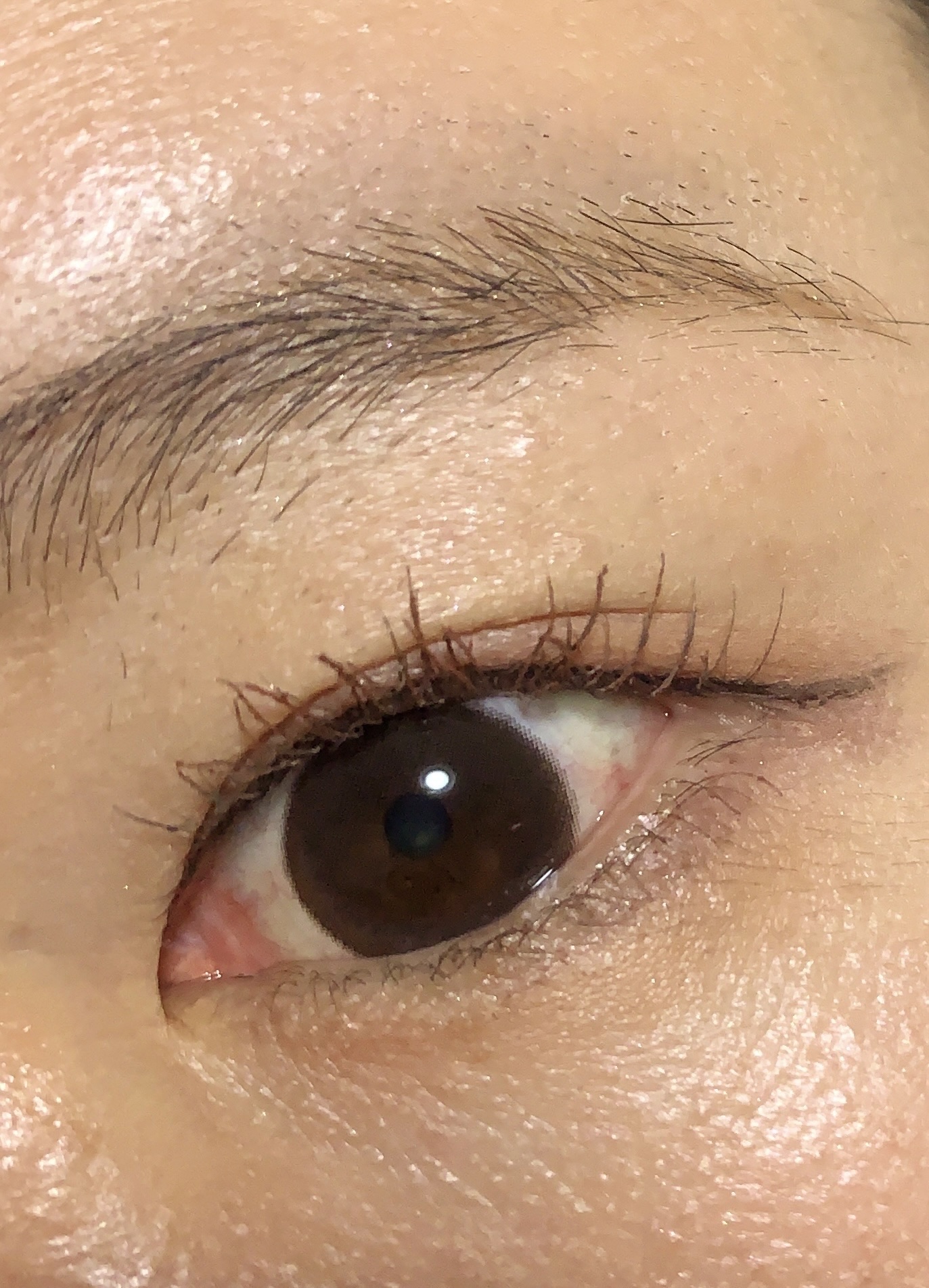 ヴェールライター/rom&nd/パウダーハイライトを使ったクチコミ（3枚目）