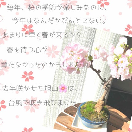 ヴィセ アヴァン シングルアイカラー/Visée/単色アイシャドウを使ったクチコミ(4枚目)