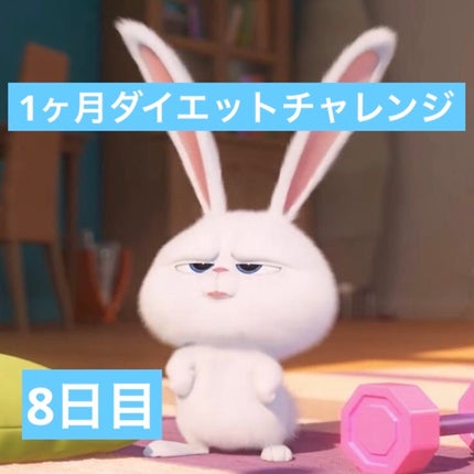 ã䜿ã£ãã¯ãã³ãïŒ1æç®ïŒ