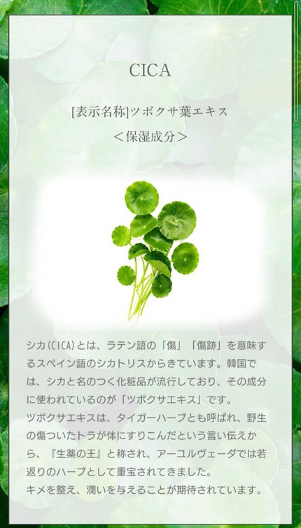 マイスキンケア美容液 CICA/DAISO/美容液を使ったクチコミ(2枚目)