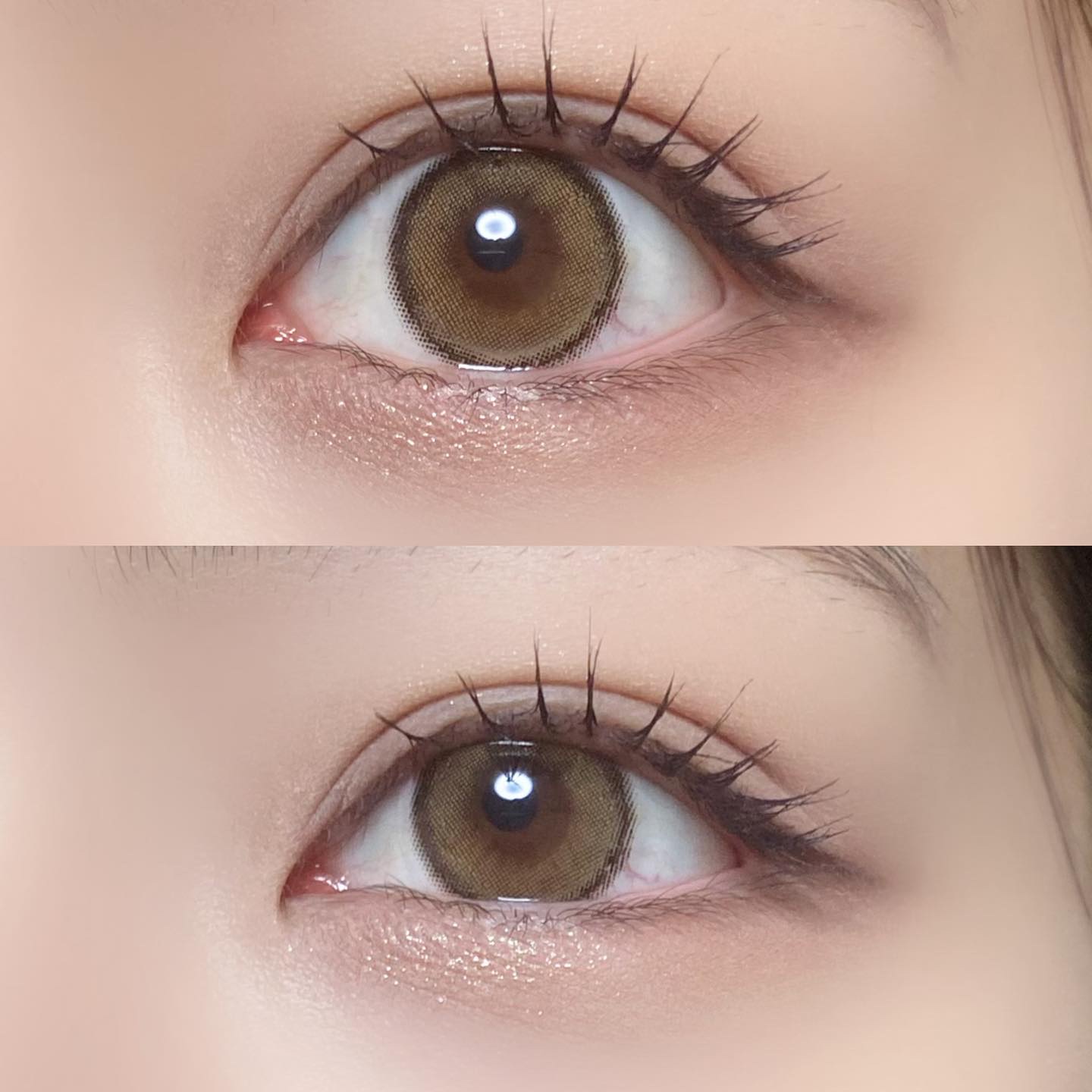 MANY LENS/MANY LENS/カラーコンタクトレンズを使ったクチコミ（1枚目）