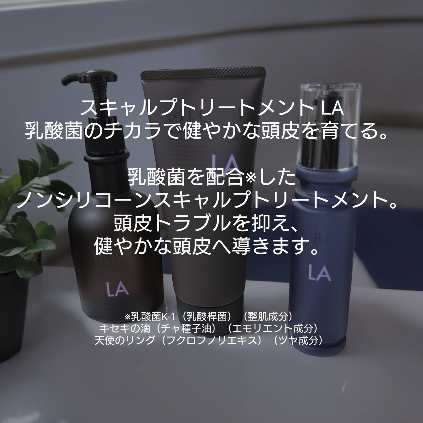 スキャルプシャンプーLA/トリートメントLA/ALORB/サロンシャンプーを使ったクチコミ(4枚目)