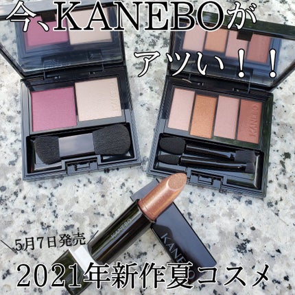 カネボウ Nールージュ/KANEBO/口紅を使ったクチコミ(1枚目)