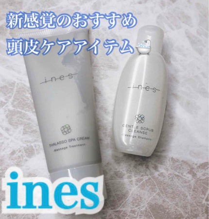 ジェントル スクラブ クレンズ/ines/市販シャンプーを使ったクチコミ(1枚目)