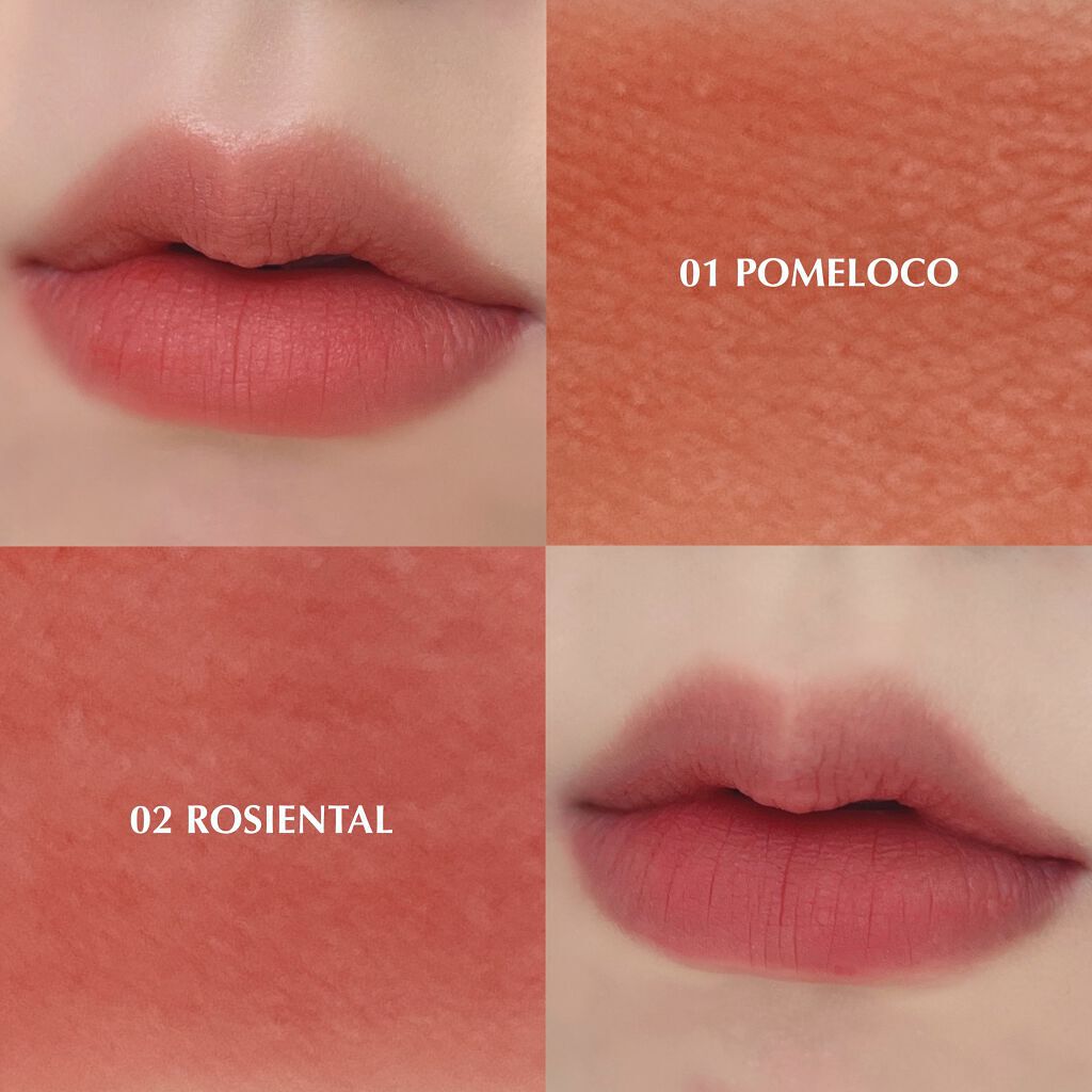 rom&nd ブラーファッジティント/rom&nd/リップティントを使ったクチコミ(6枚目)