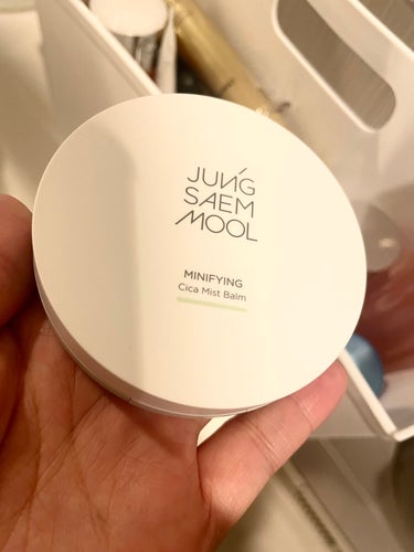 Minifying Cica Mist Balm/JUNG SAEM MOOL/フェイスバームを使ったクチコミ（2枚目）