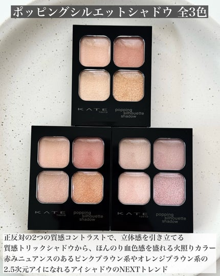 ケイト ポッピングシルエットシャドウ/KATE/アイシャドウパレットを使ったクチコミ(4枚目)