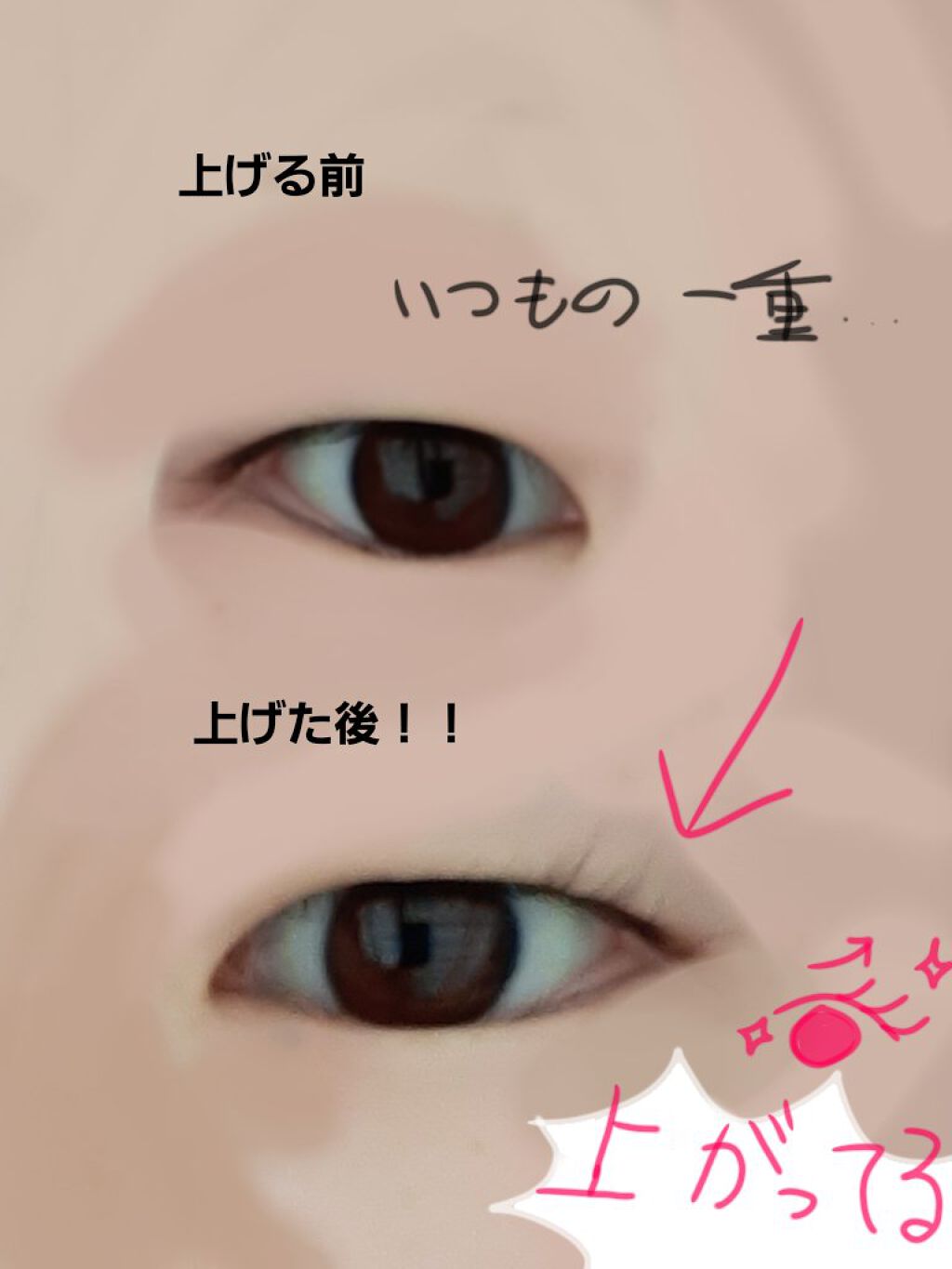 ミニアイラッシュカーラー/matsukiyo/ビューラーを使ったクチコミ(2枚目)