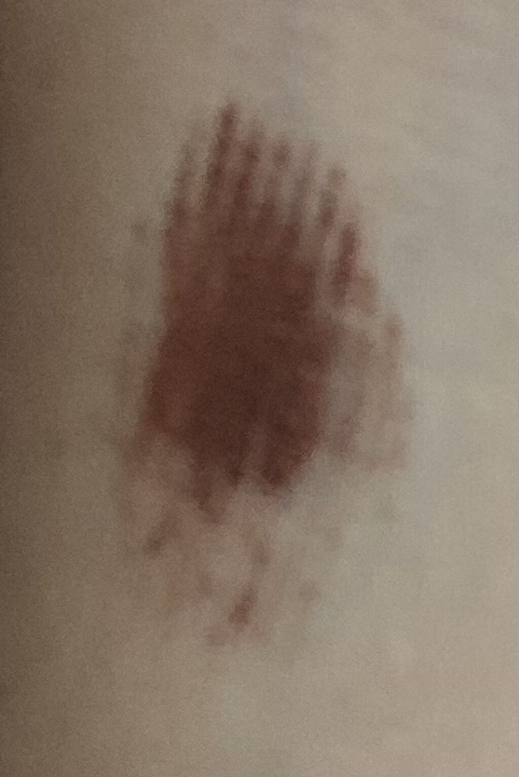 クイックラッシュカーラー/キャンメイク/マスカラ下地を使ったクチコミ（3枚目）