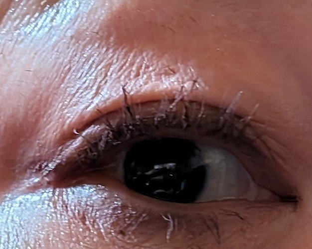 カラーパターンパレット/i’m meme/マルチパレットを使ったクチコミ（2枚目）