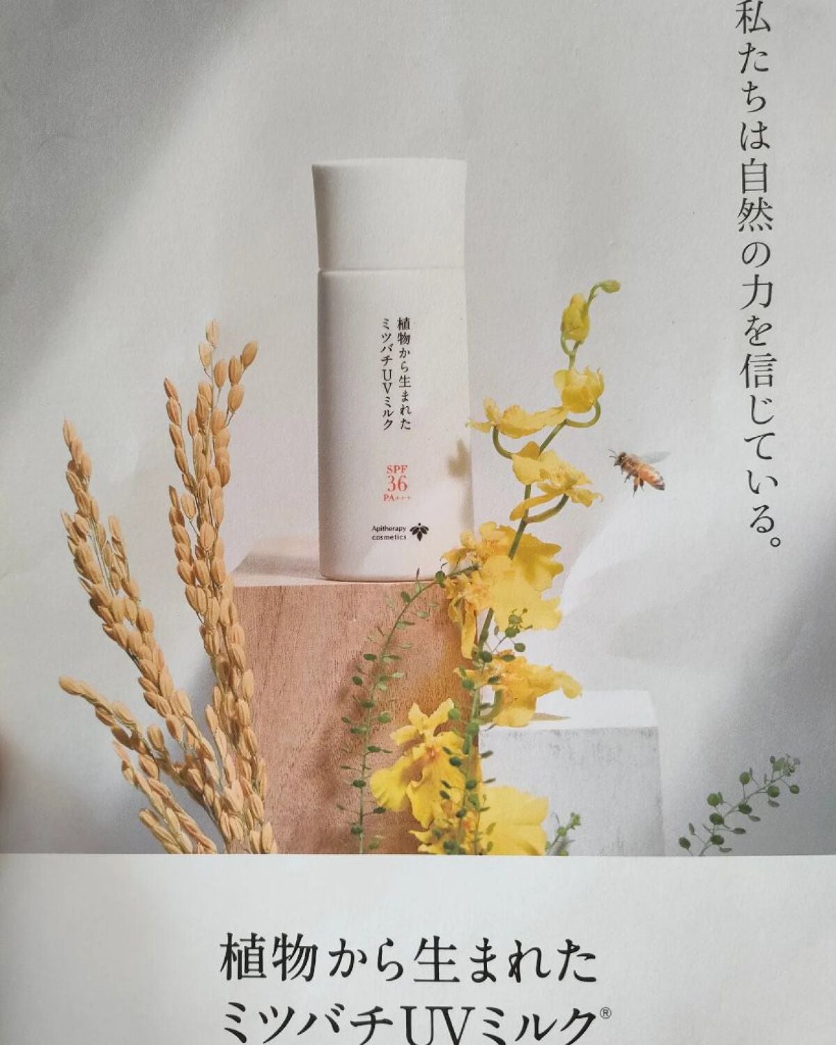 植物から生まれたミツバチUVミルク/アピセラピーコスメティクス/日焼け止めミルクを使ったクチコミ(2枚目)