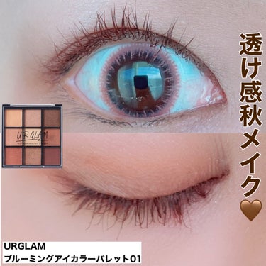 UR GLAM　BLOOMING EYE COLOR PALETTE/U R GLAM/パウダーアイシャドウを使ったクチコミ（1枚目）