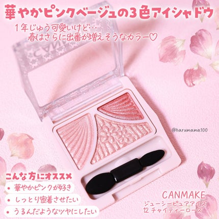 ジューシーピュアアイズ/キャンメイク/アイシャドウパレットを使ったクチコミ(2枚目)