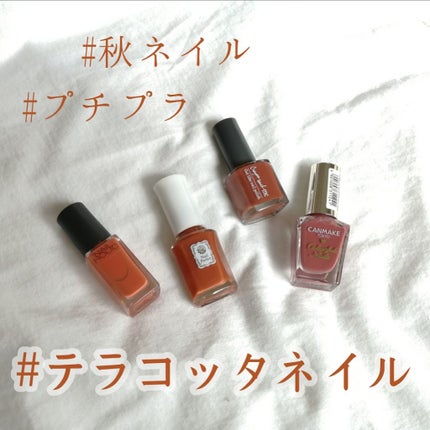 カラフルネイルズ/キャンメイク/マニキュアを使ったクチコミ(1枚目)