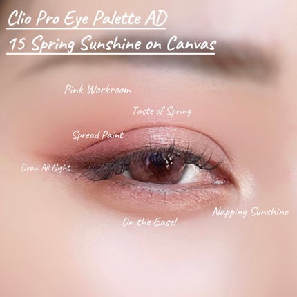 プロ アイ パレット/CLIO/アイシャドウパレットを使ったクチコミ(8枚目)