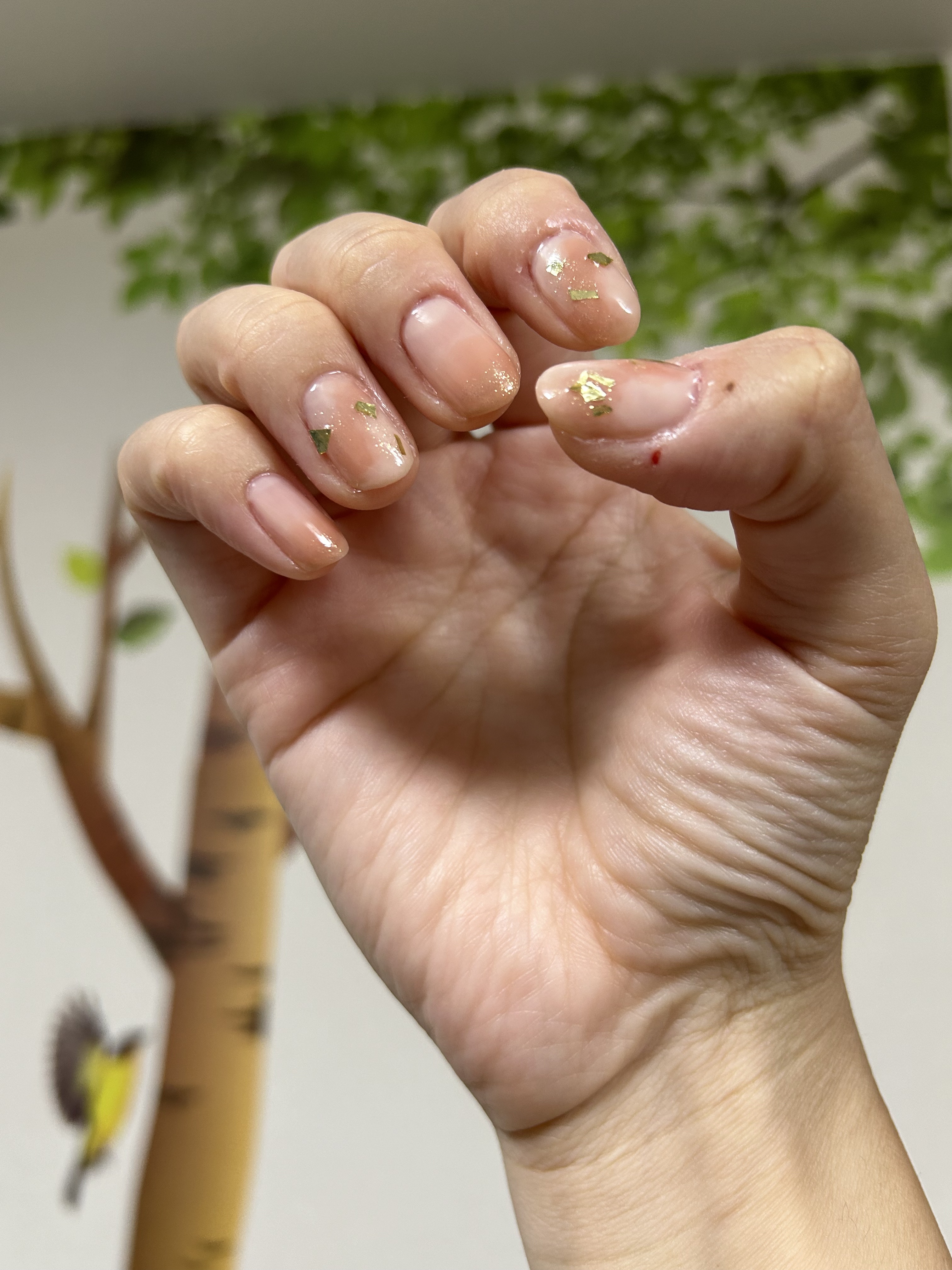 カラフルネイルズ/キャンメイク/マニキュアを使ったクチコミ（2枚目）