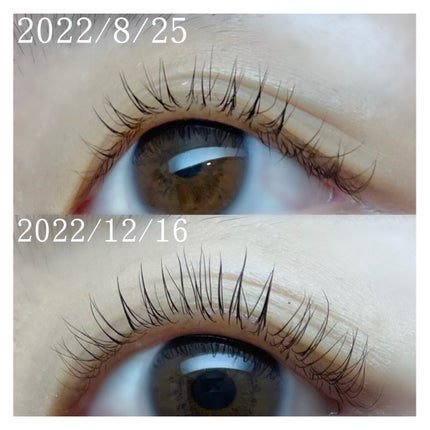 ハンオールラッシュセラム/rom&nd/まつげ美容液を使ったクチコミ(3枚目)