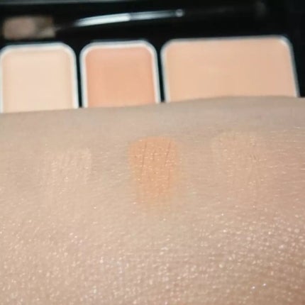 ミネラルコンシーラーパレット/エトヴォス/パレットコンシーラーを使ったクチコミ(5枚目)