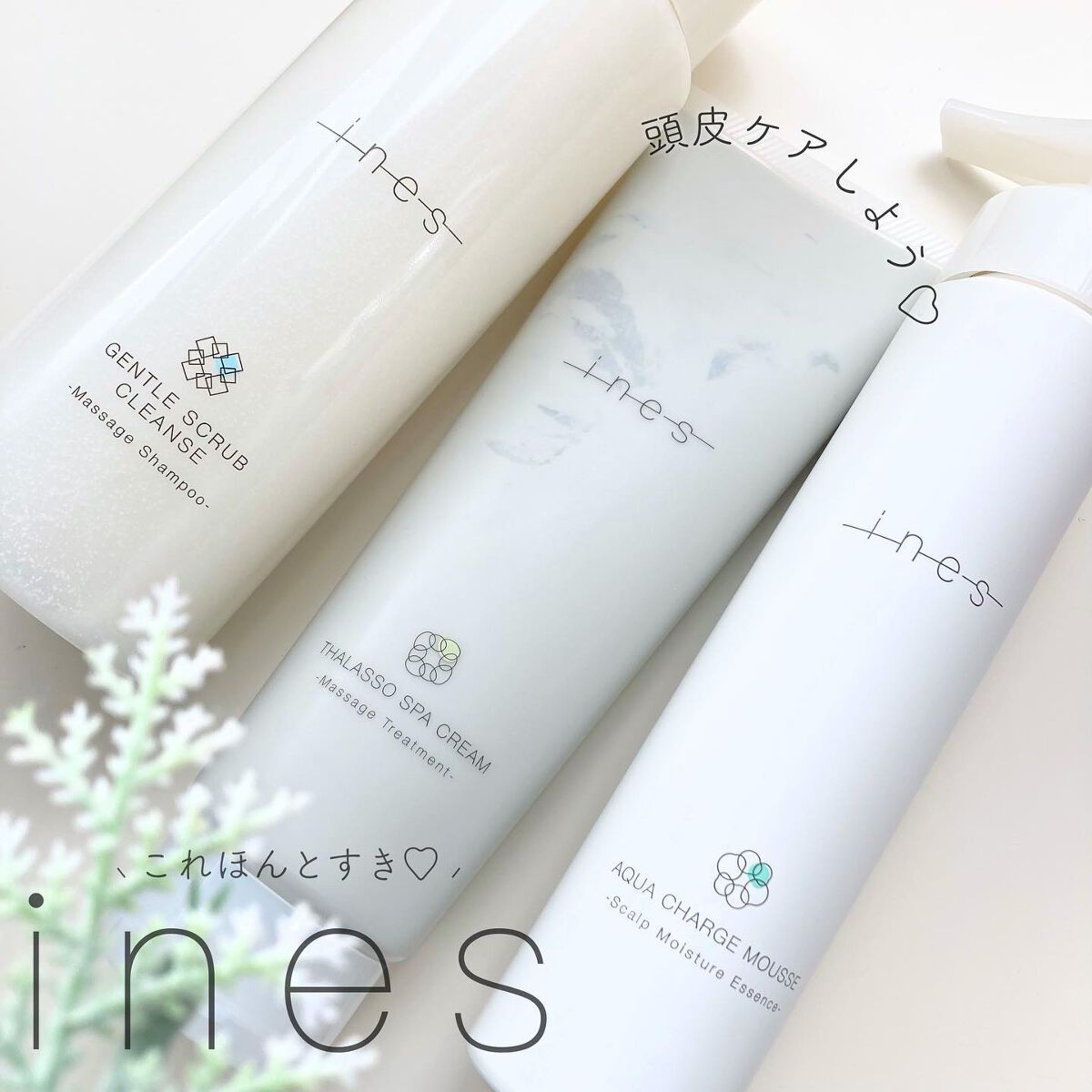 アクア チャージ ムース/ines/頭皮ローションを使ったクチコミ（1枚目）