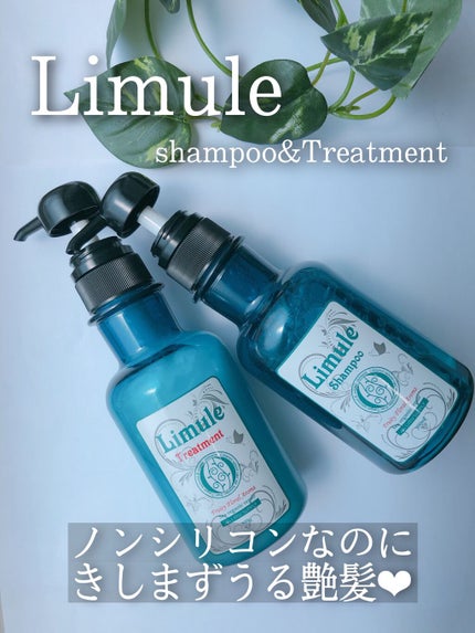 リムール ノンシリコンシャンプー・トリートメント/リムサプライ/サロンシャンプーを使ったクチコミ(1枚目)