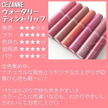 ウォータリーティントリップ/CEZANNE/口紅を使ったクチコミ（2枚目）