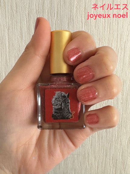 ネイルエス/ nail S(ネイルエス) /マニキュアを使ったクチコミ(1枚目)