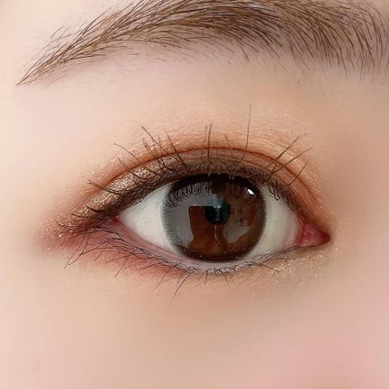 アイシャドウ × 10 /M・A・C/アイシャドウパレットを使ったクチコミ(2枚目)