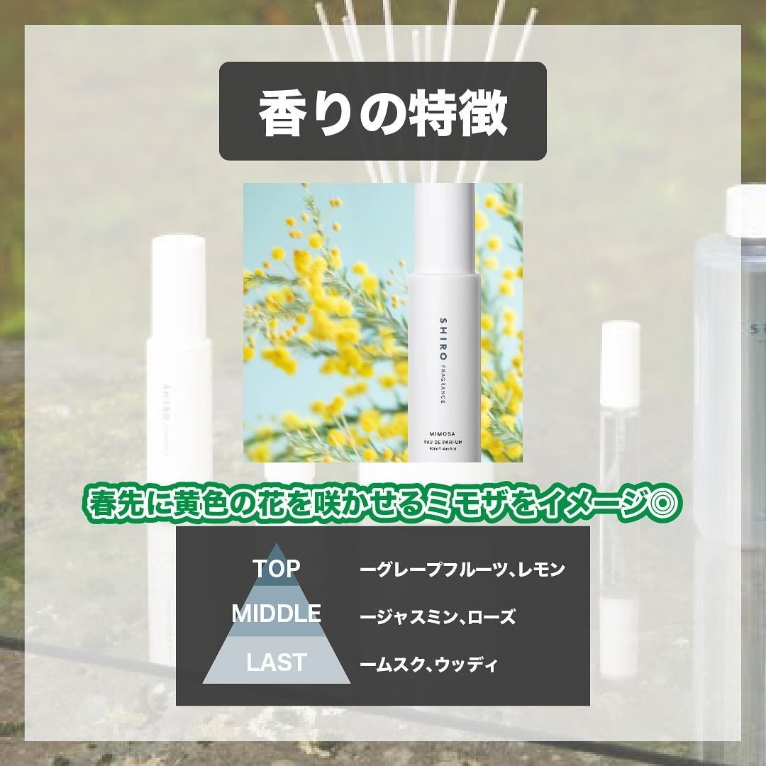 ミモザ オードパルファン/SHIRO/香水(レディース)を使ったクチコミ(3枚目)