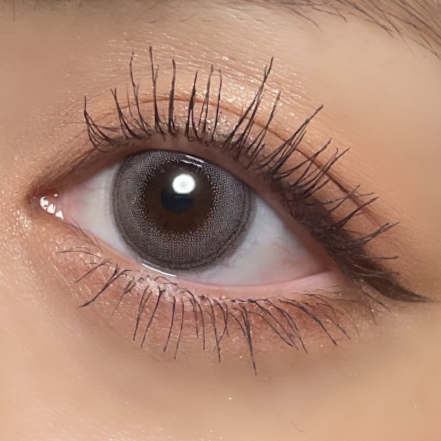 Angelcolor Bambi Series 1day /AngelColor/ワンデー(1DAY)カラコンを使ったクチコミ(4枚目)