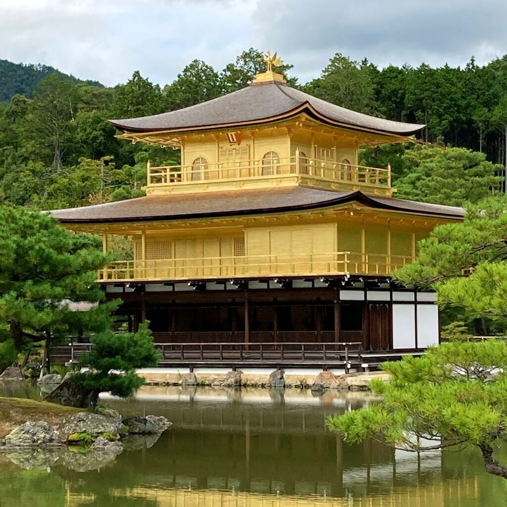 ポアレスクリアプライマー/キャンメイク/化粧下地を使ったクチコミ(4枚目)