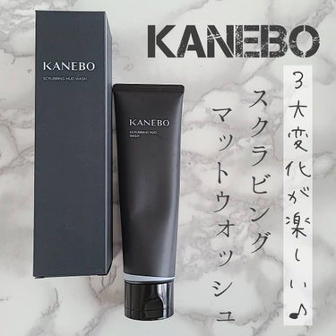 スクラビング　マッド　ウォッシュ/KANEBO/洗顔フォームを使ったクチコミ（1枚目）