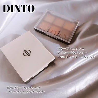 ブラーフィニシュシャドウパレット/Dinto/アイシャドウパレットを使ったクチコミ（1枚目）