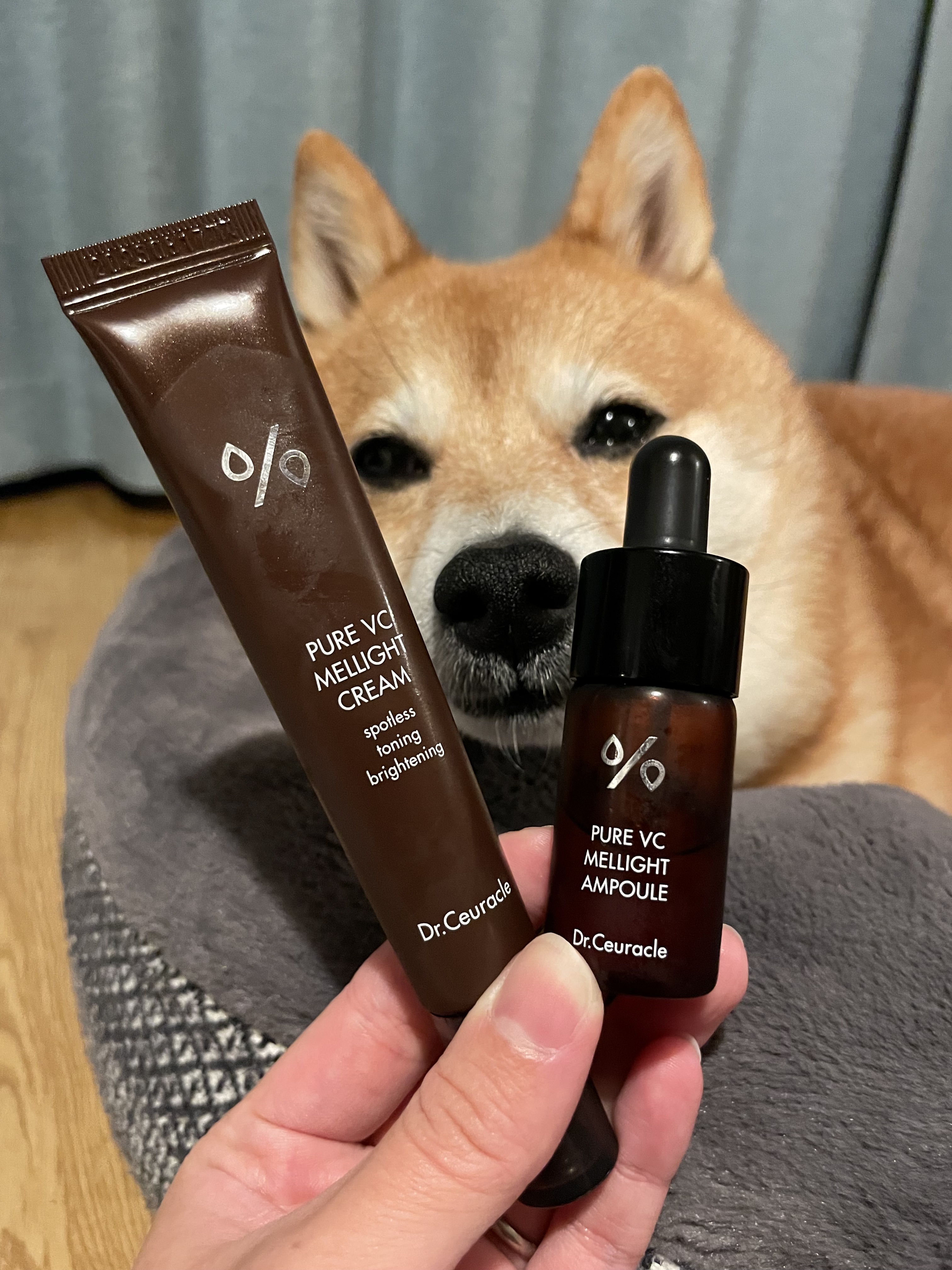 Pure VC Mellight Cream/Dr.Ceuracle/フェイスクリームを使ったクチコミ（1枚目）