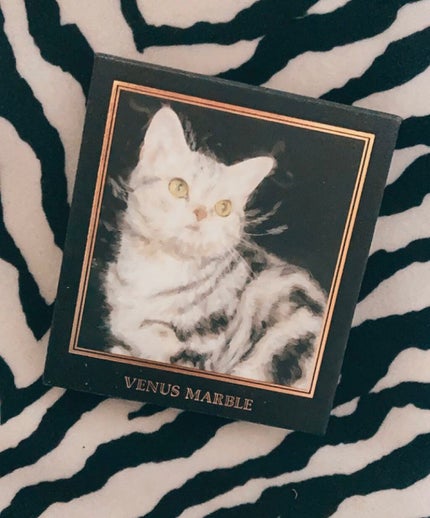 Venus Marble アイシャドウキャットシリーズ/Venus Marble/アイシャドウパレットを使ったクチコミ(1枚目)